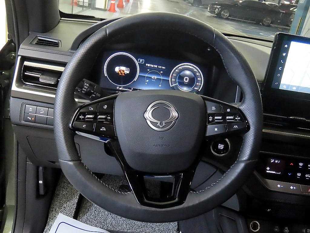 Ssangyong Rexton - Vista 8