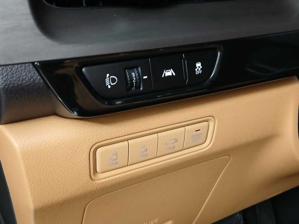 KIA Carnival - Vista 10