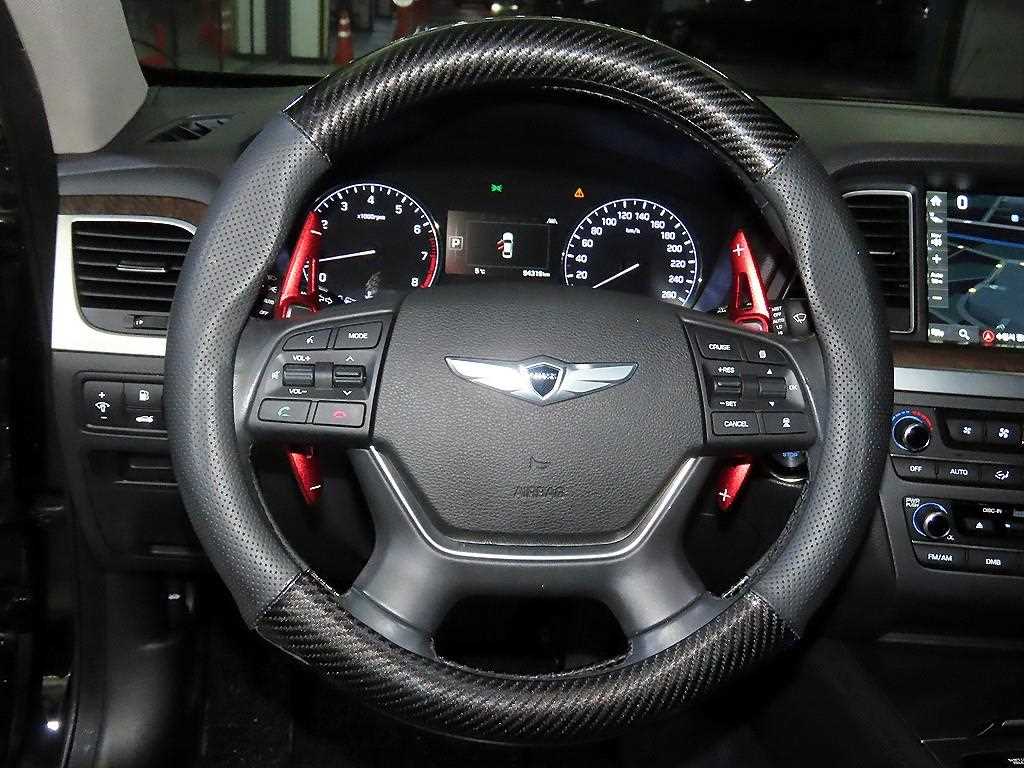 HYUNDAI Genesis - Vista 8