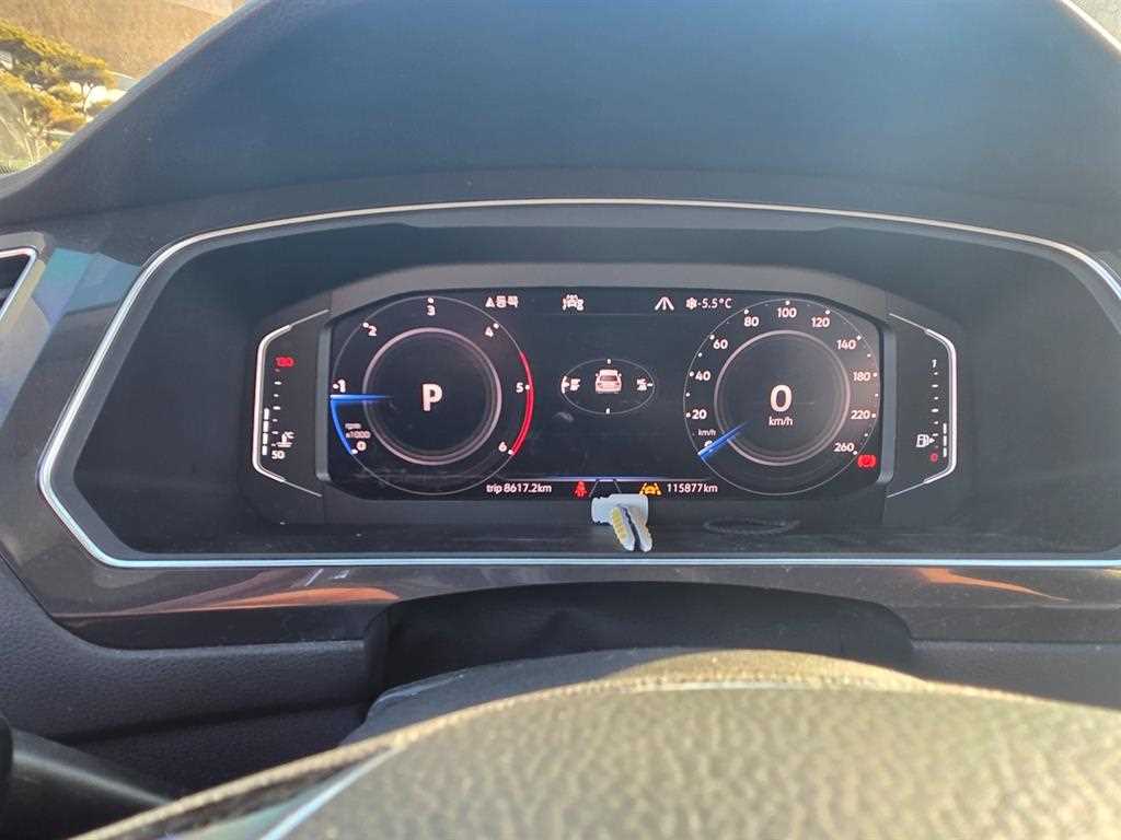 Volkswagen Tiguan - Vista 10