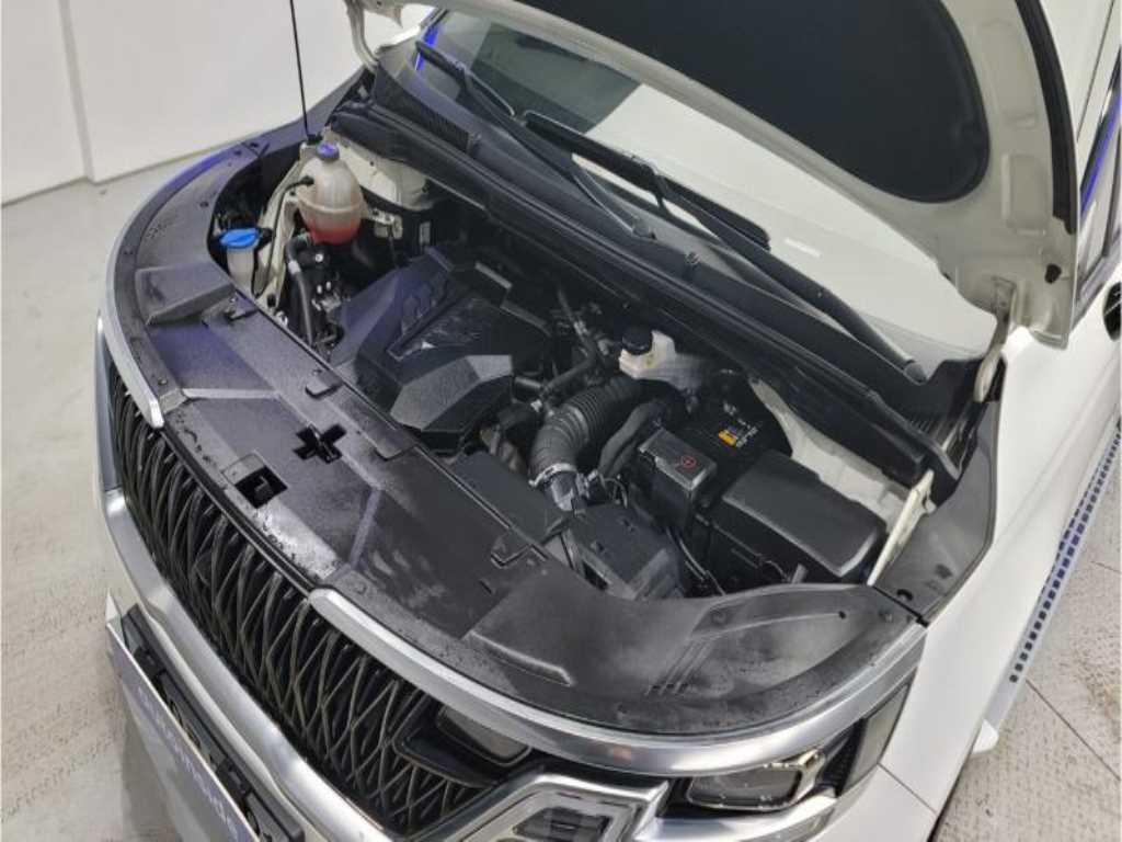 KIA Carnival - Vista 6