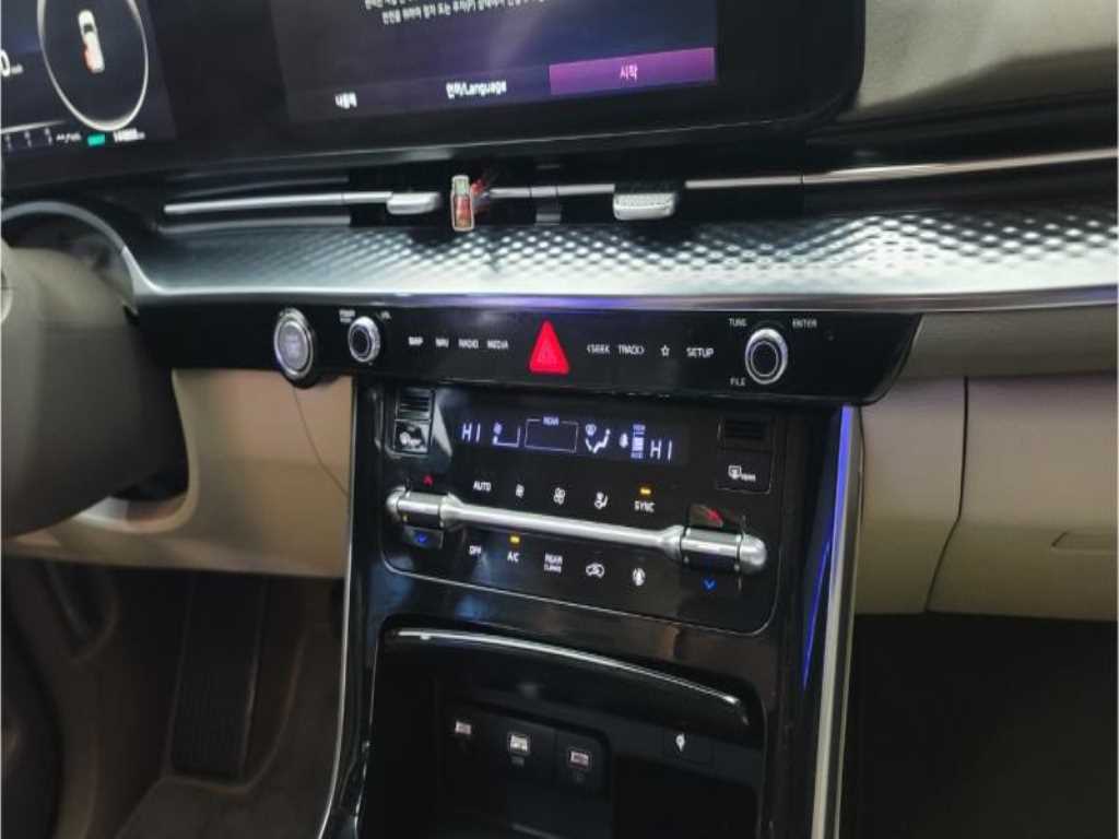 KIA Carnival - Vista 9