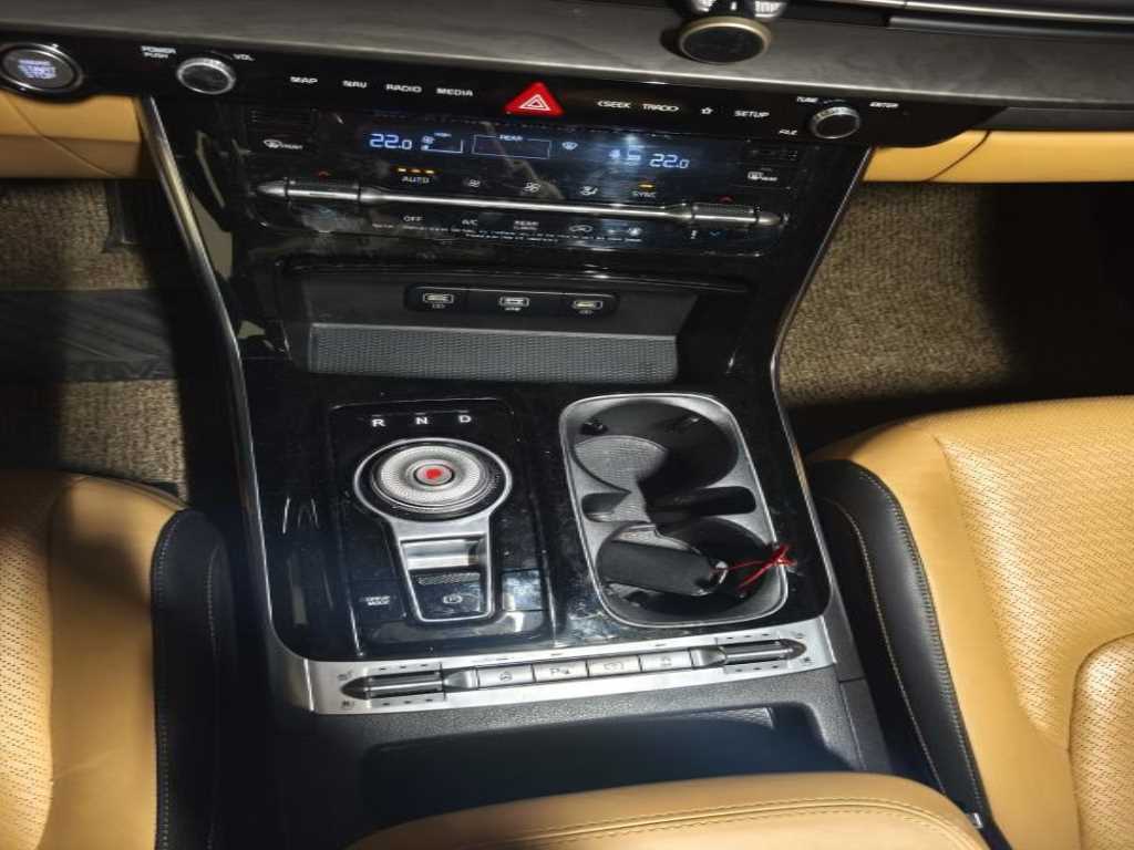 KIA Carnival - Vista 3