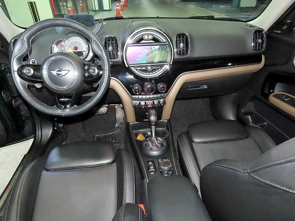 Mini Countryman - Vista 10