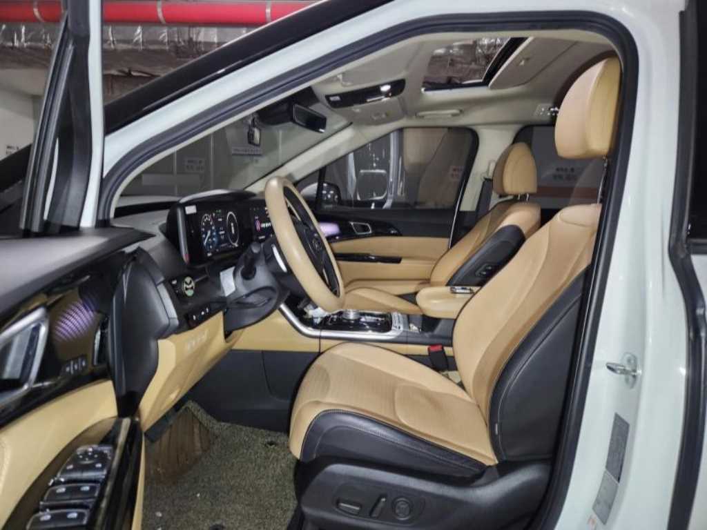 KIA Carnival - Vista 4