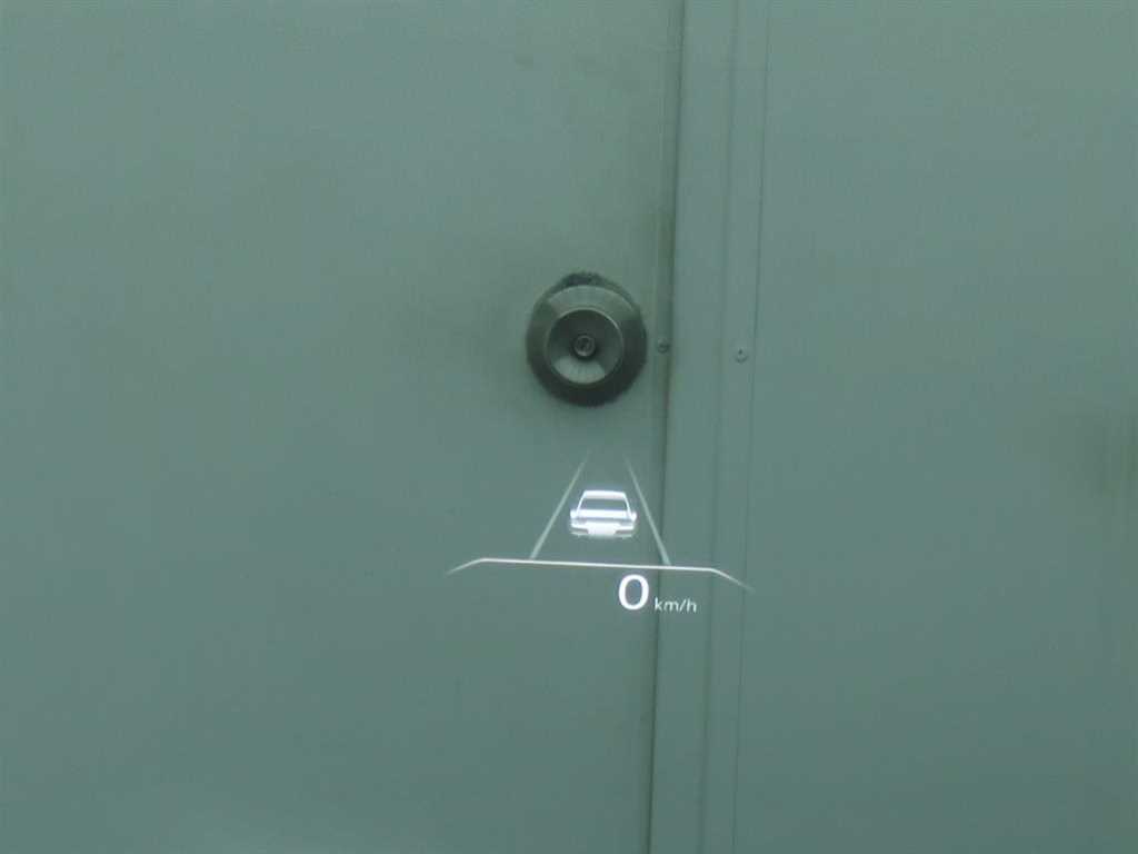 Genesis G80 - Vista 12