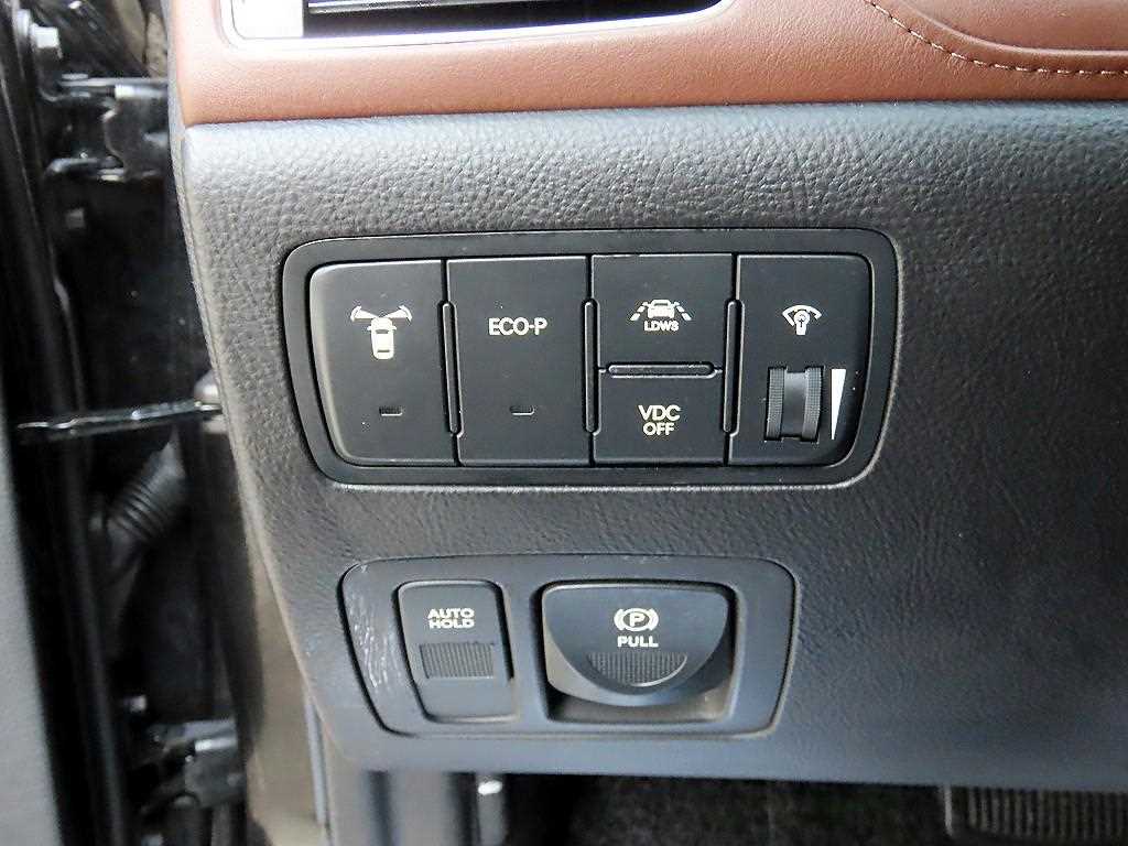 HYUNDAI Genesis - Vista 12