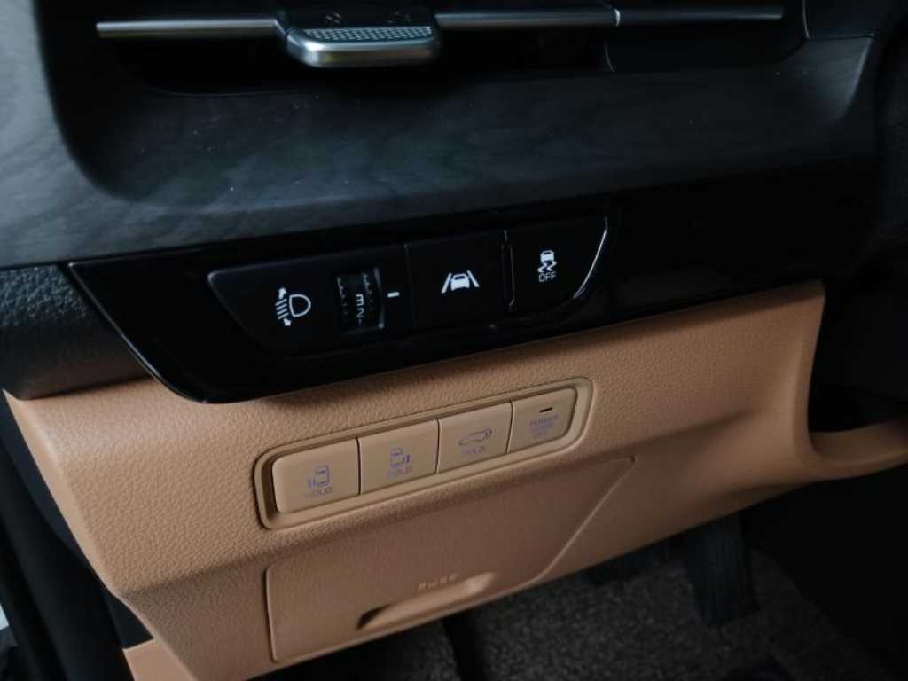 KIA Carnival - Vista 10