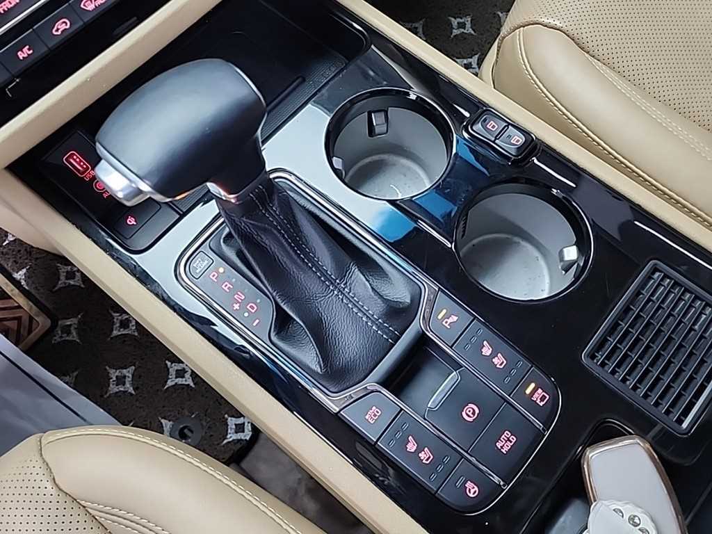 KIA Carnival - Vista 8