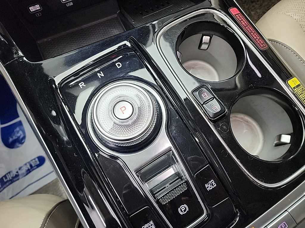 KIA Carnival - Vista 8