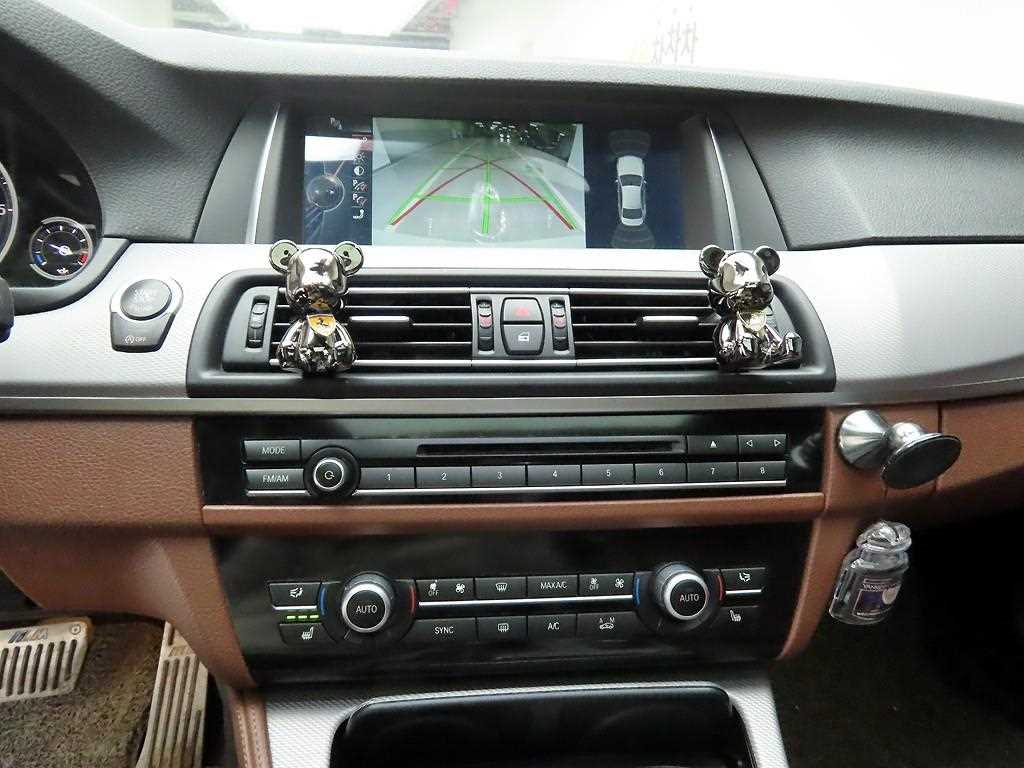 BMW 5 Series - Vista 9