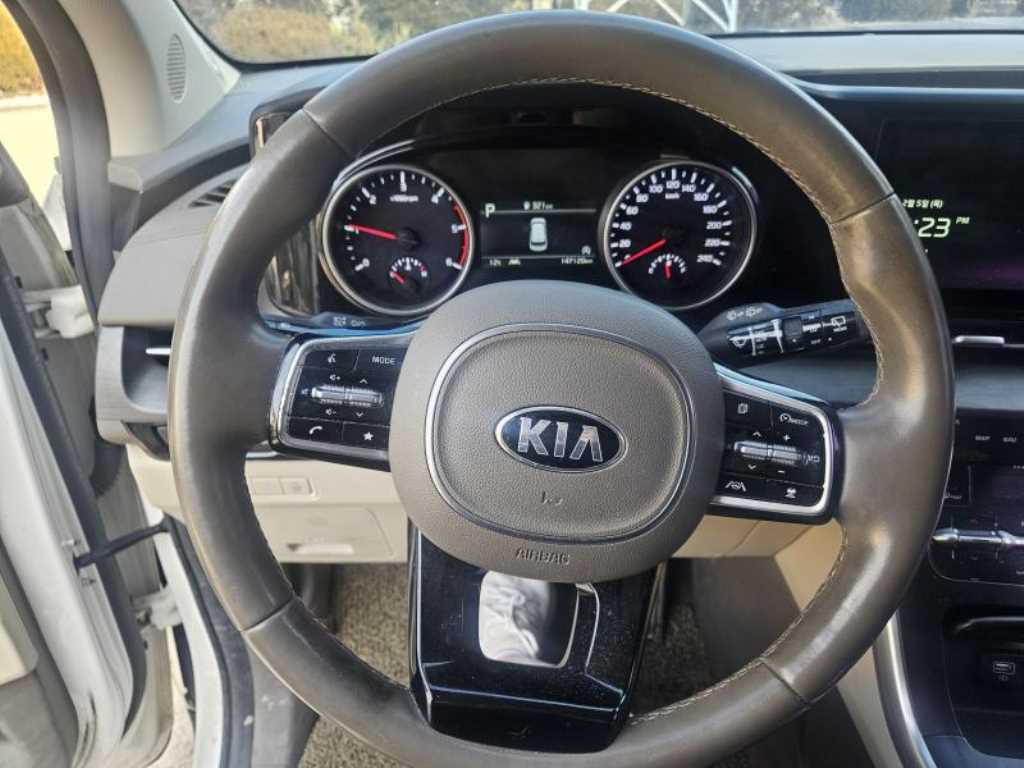 KIA Carnival - Vista 6