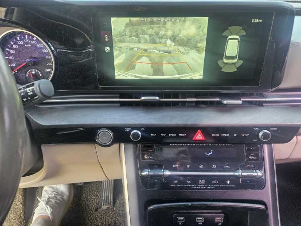 KIA Carnival - Vista 8