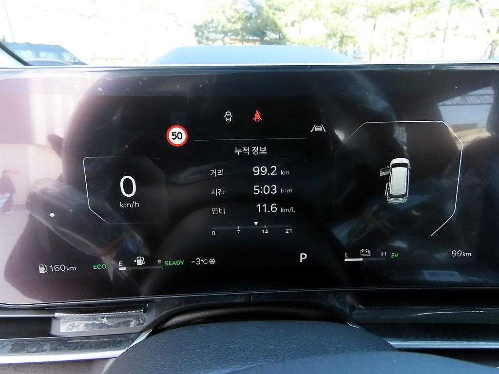 KIA Carnival - Vista 9