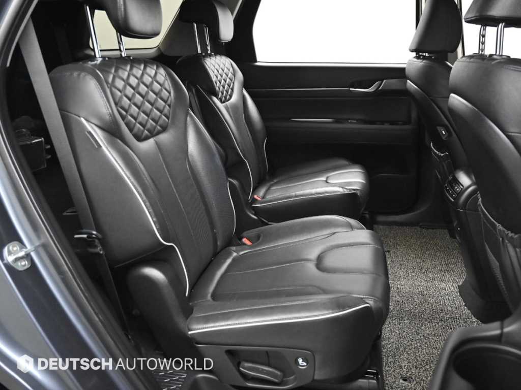 HYUNDAI Palisade - Vista 12