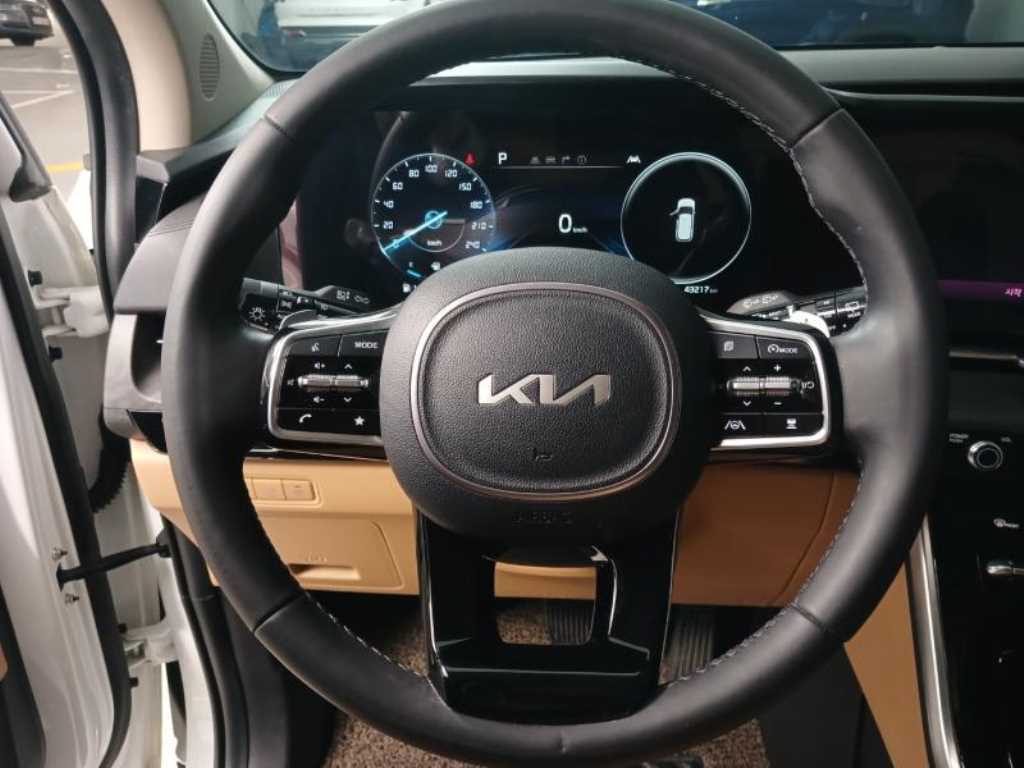 KIA Carnival - Vista 11