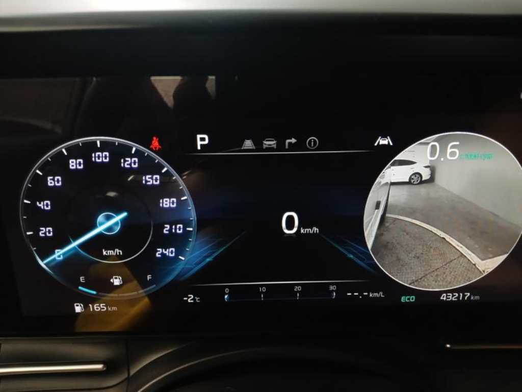 KIA Carnival - Vista 12