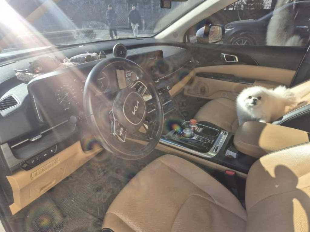 KIA Carnival - Vista 7