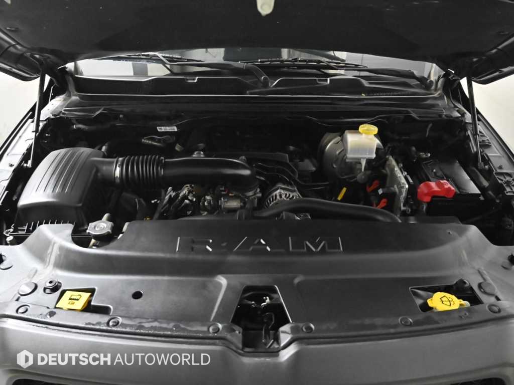 DODGE Rampic Up - Vista 6