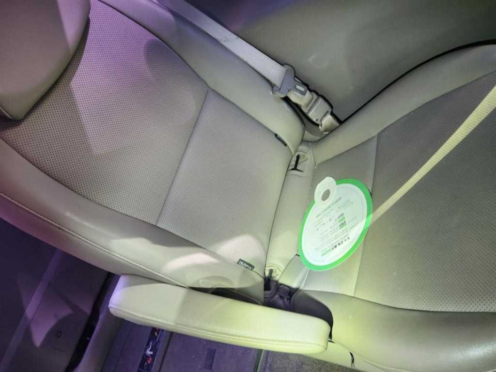 KIA Carnival - Vista 12