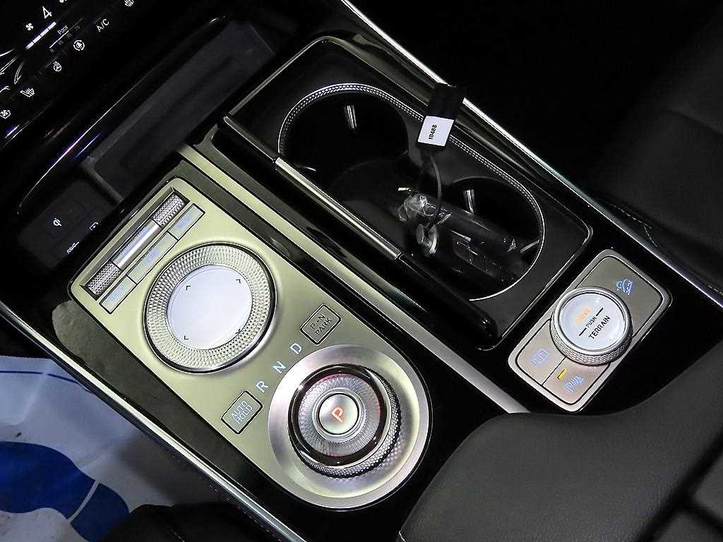 Genesis GV80 - Vista 12