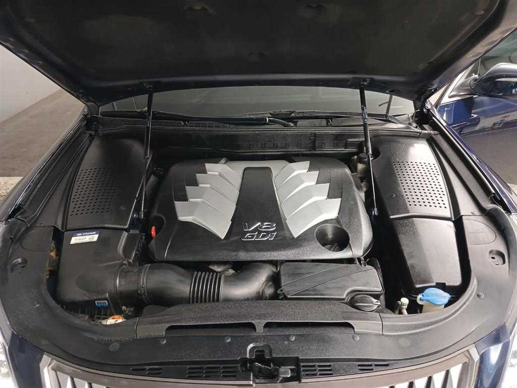 HYUNDAI Equus - Vista 10