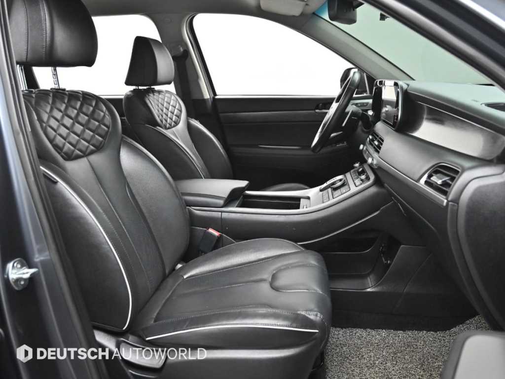 HYUNDAI Palisade - Vista 10