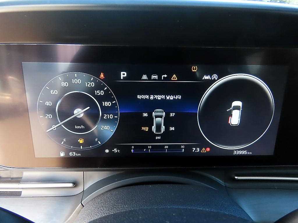 KIA Carnival - Vista 10