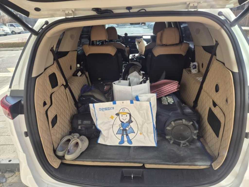 KIA Carnival - Vista 3