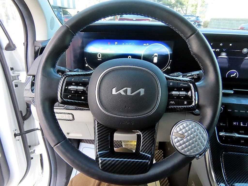 KIA Carnival - Vista 8
