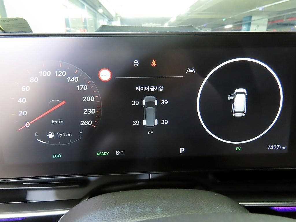 KIA Carnival - Vista 9