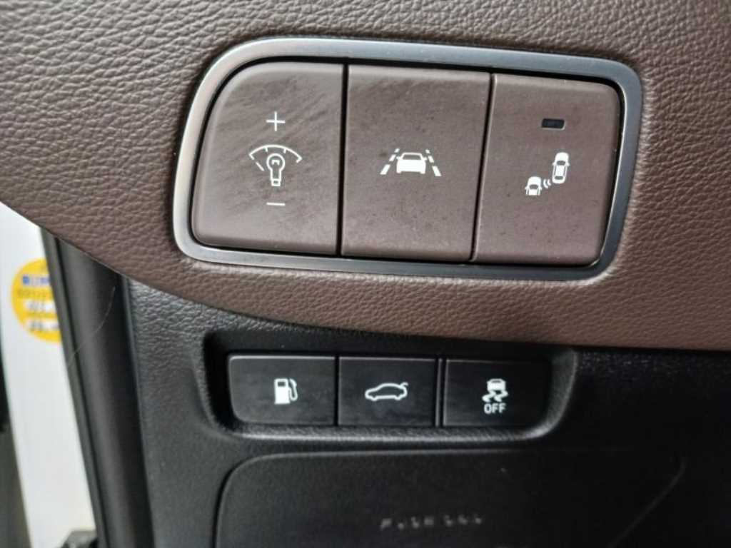 HYUNDAI Grandeur - Vista 10