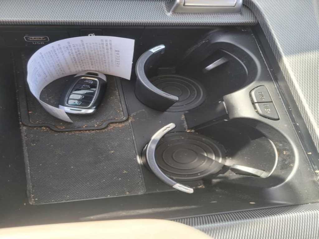 HYUNDAI Palisade - Vista 6