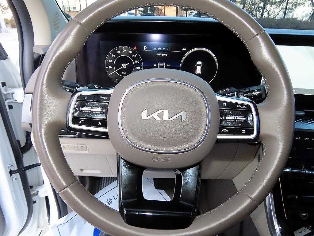 KIA Carnival - Vista 8