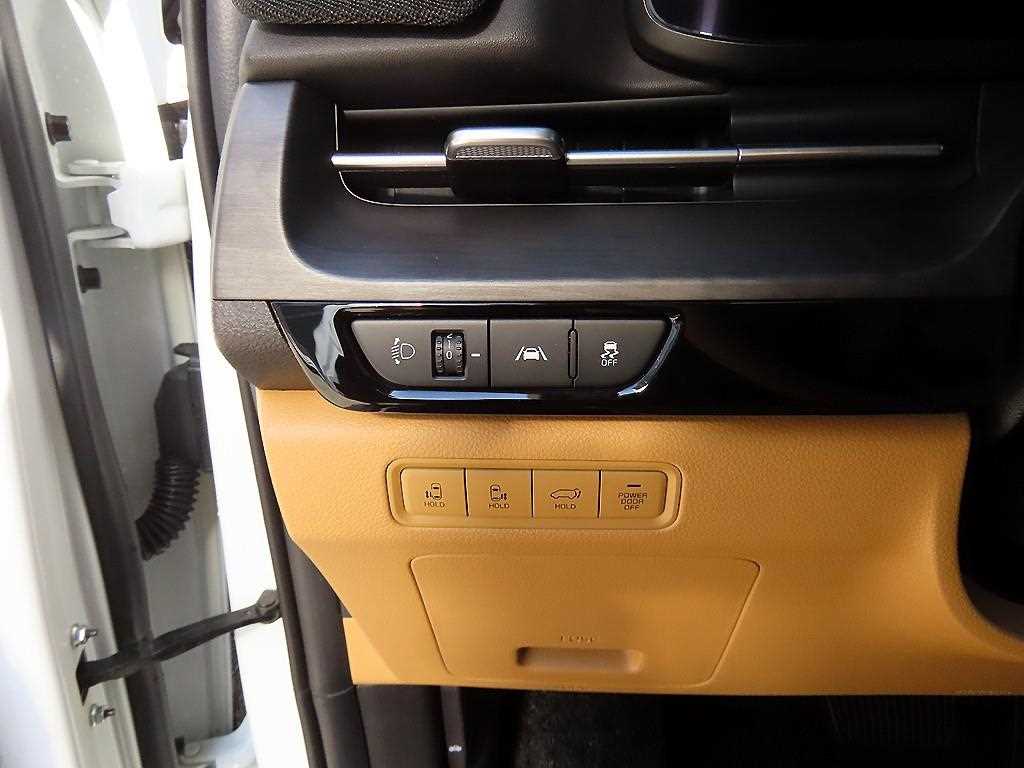 KIA Carnival - Vista 12