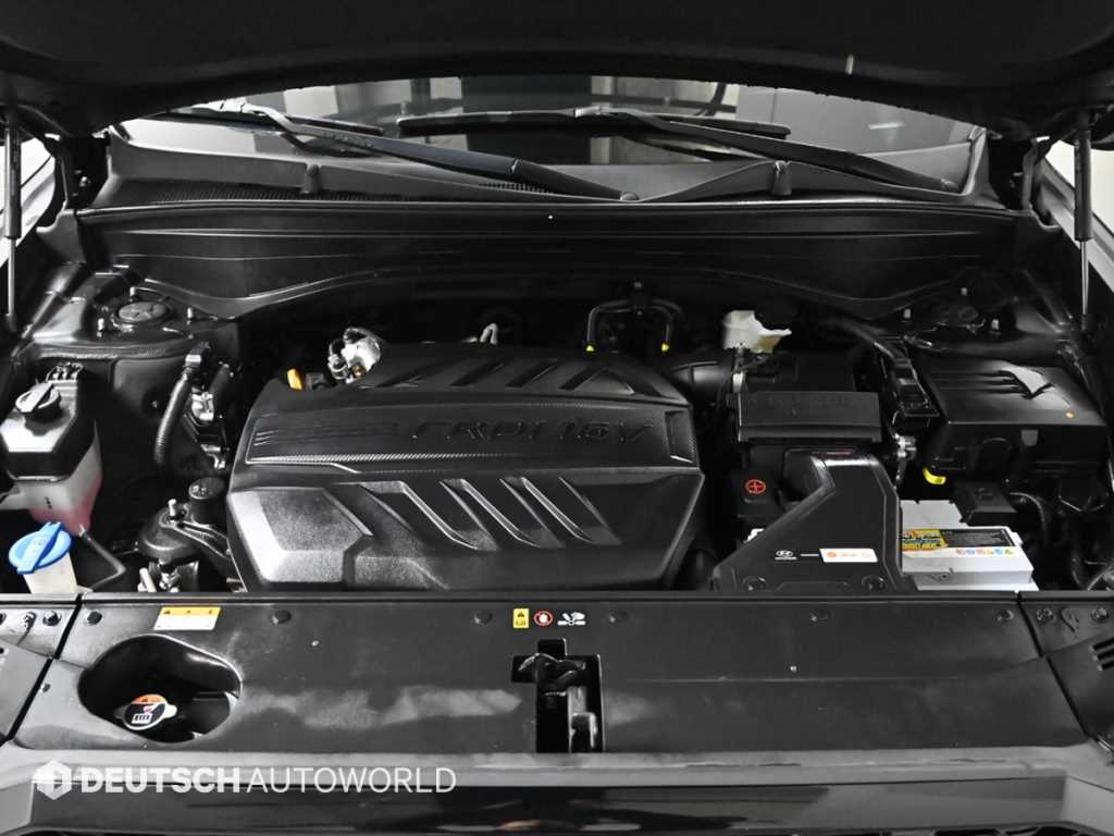 HYUNDAI Palisade - Vista 6