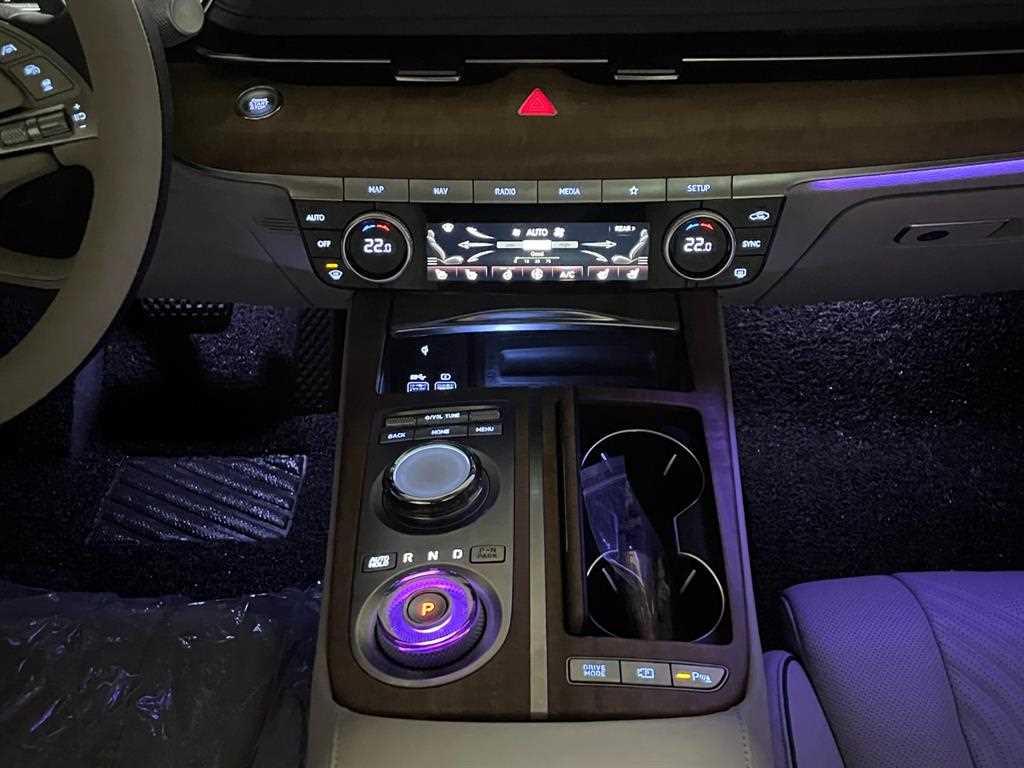 Genesis G80 - Vista 11