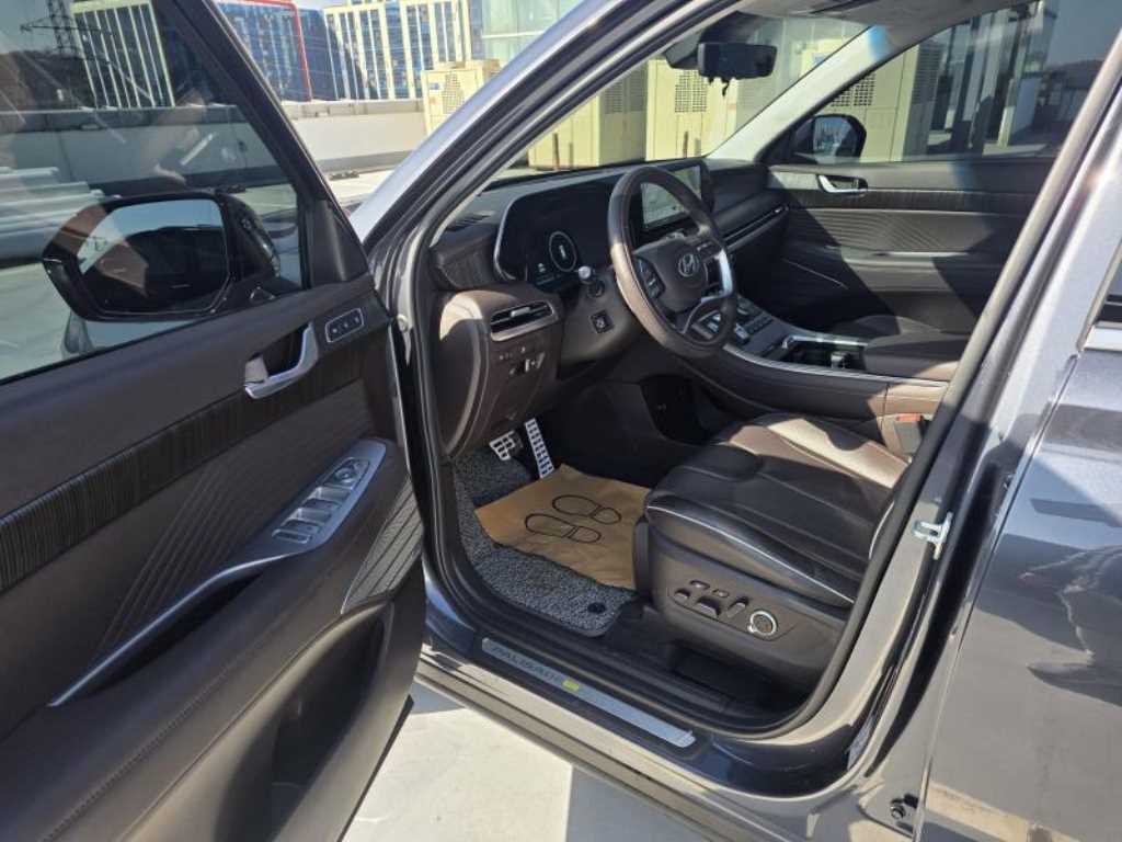 HYUNDAI Palisade - Vista 9