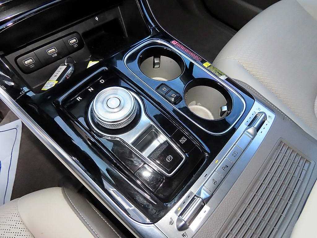 KIA Carnival - Vista 10