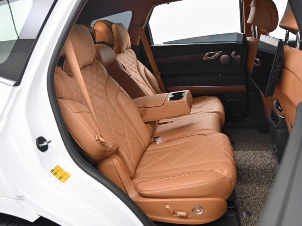 Genesis GV80 - Vista 12