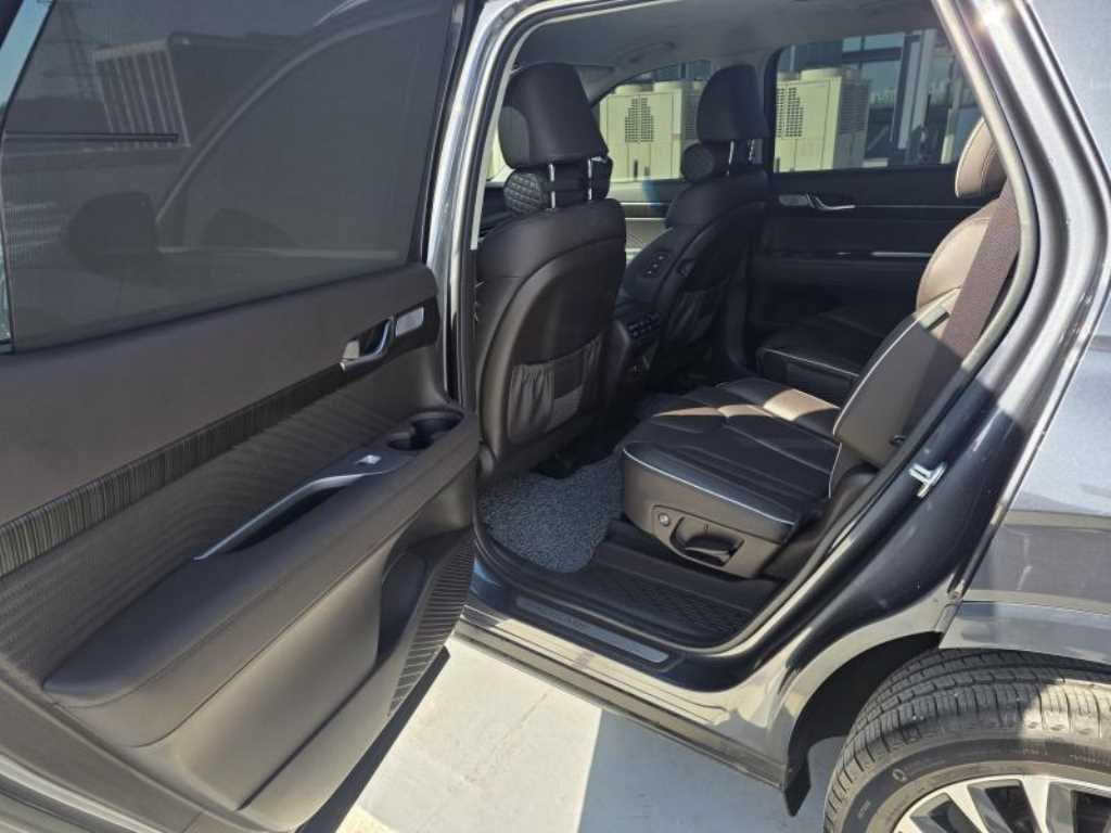 HYUNDAI Palisade - Vista 10