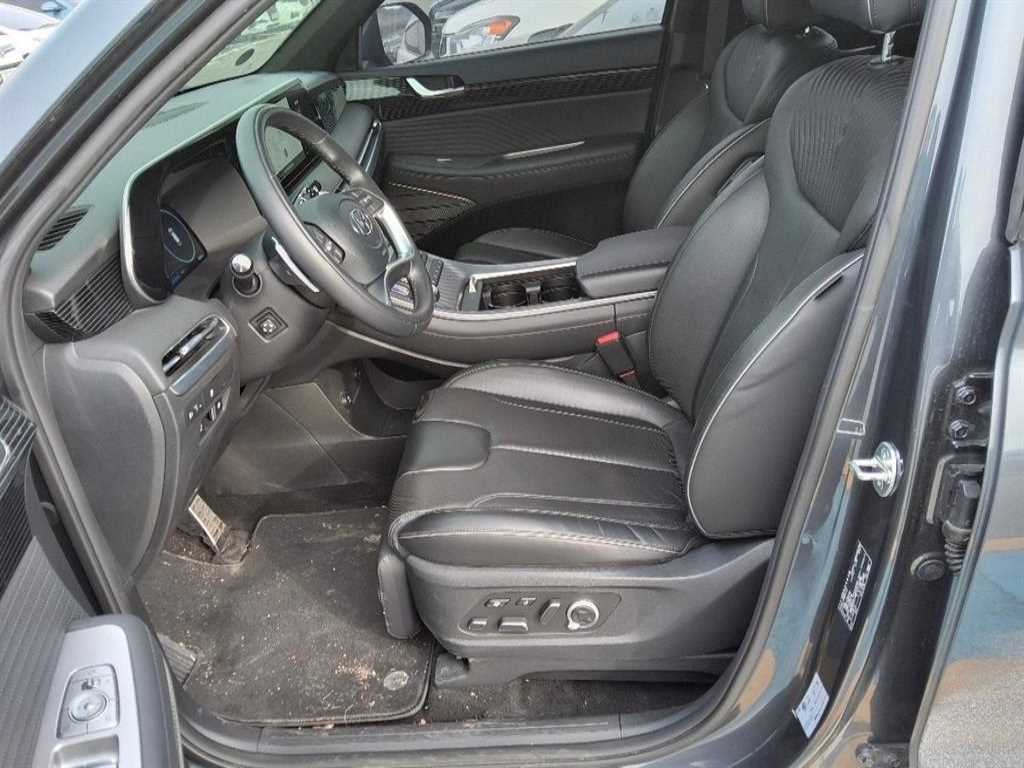 HYUNDAI Palisade - Vista 10