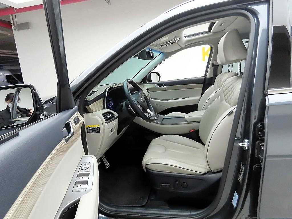 HYUNDAI Palisade - Vista 12