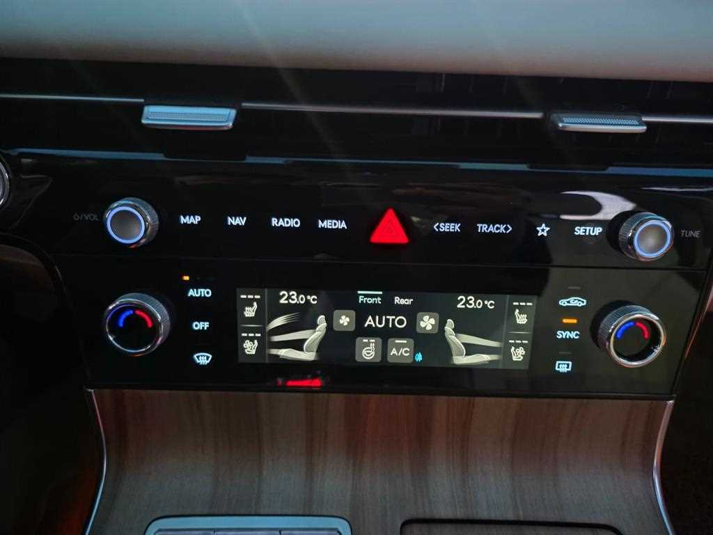 Genesis G80 - Vista 11