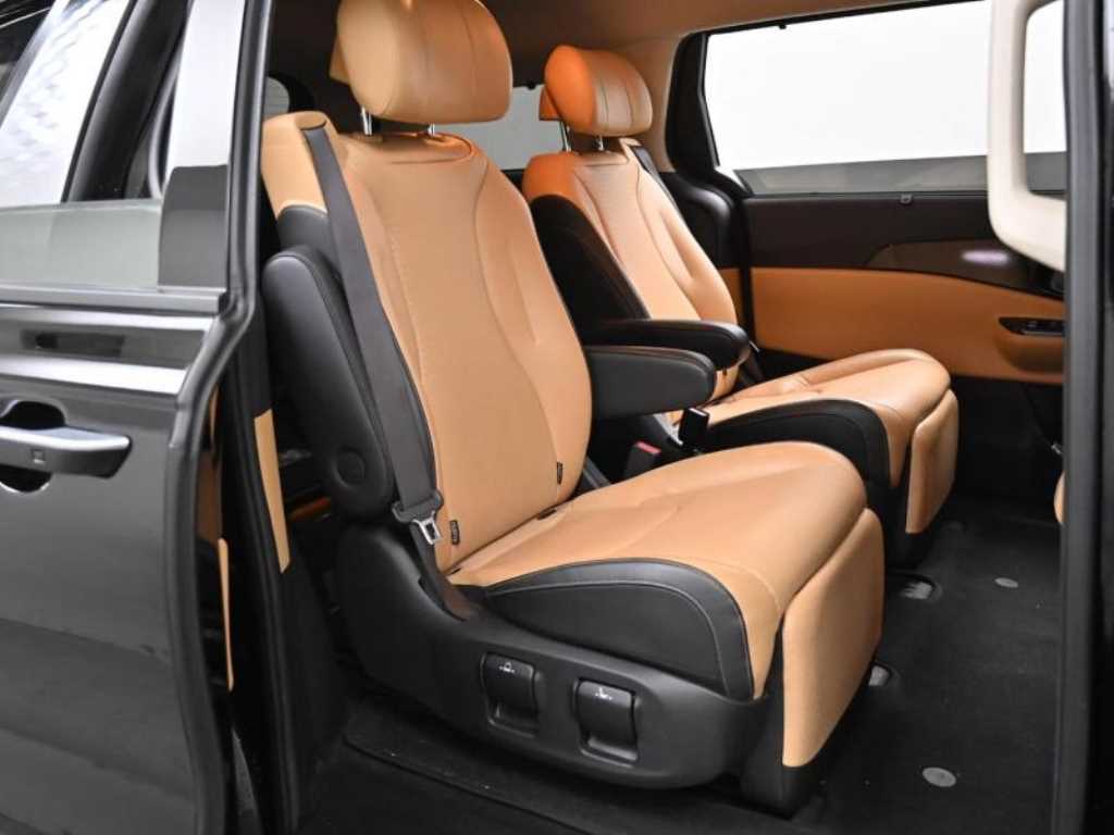 KIA Carnival - Vista 12