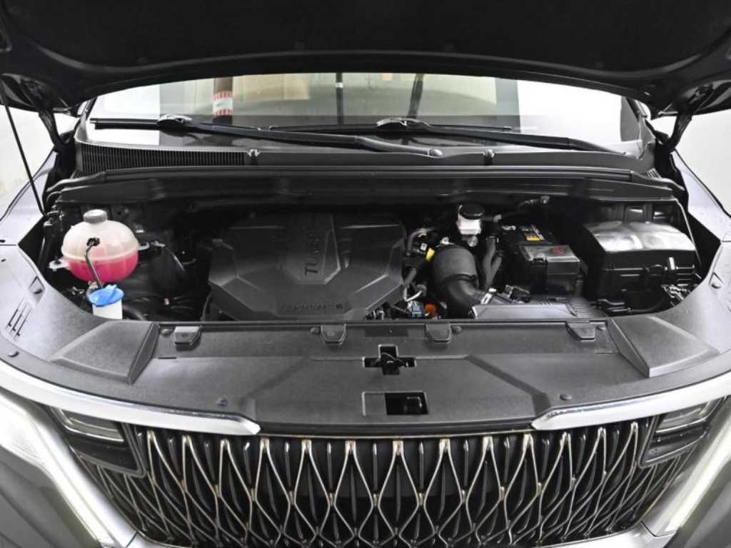 KIA Carnival - Vista 6