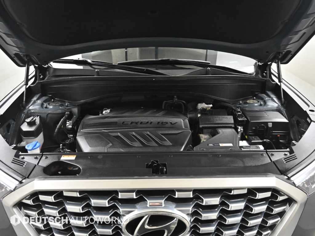 HYUNDAI Palisade - Vista 6