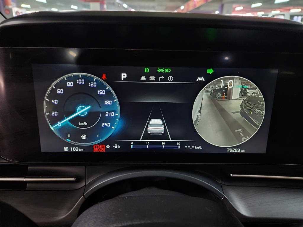 KIA Carnival - Vista 7