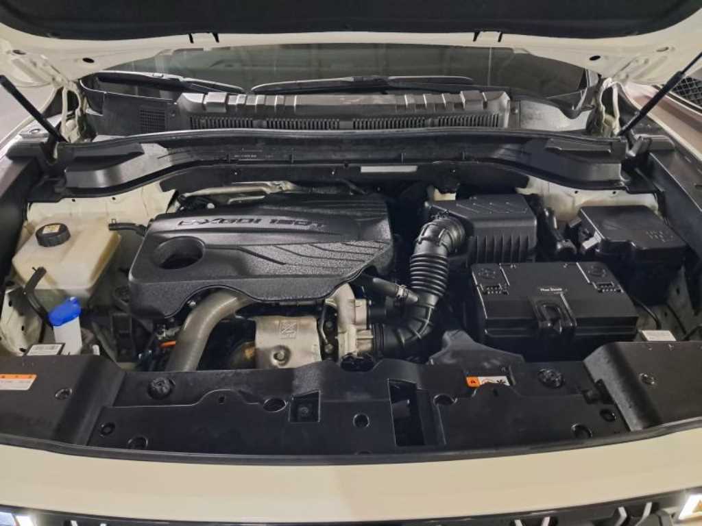 Ssangyong Torres - Vista 5