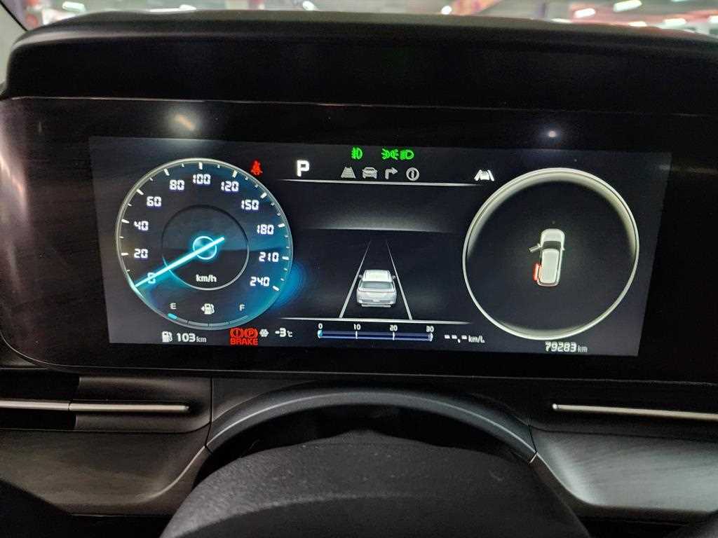 KIA Carnival - Vista 6